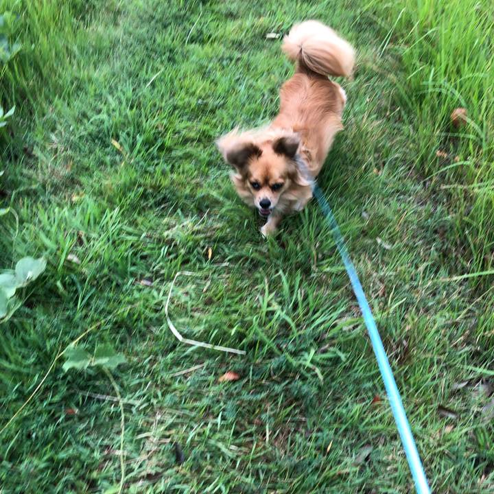 52fca1fc 877f 4fb7 835f b3f6e06aede9 1569627014007