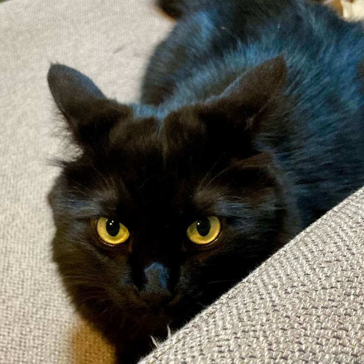 52fcb7e3 af1c 4de9 a596 a84488ce8322 1761896794642