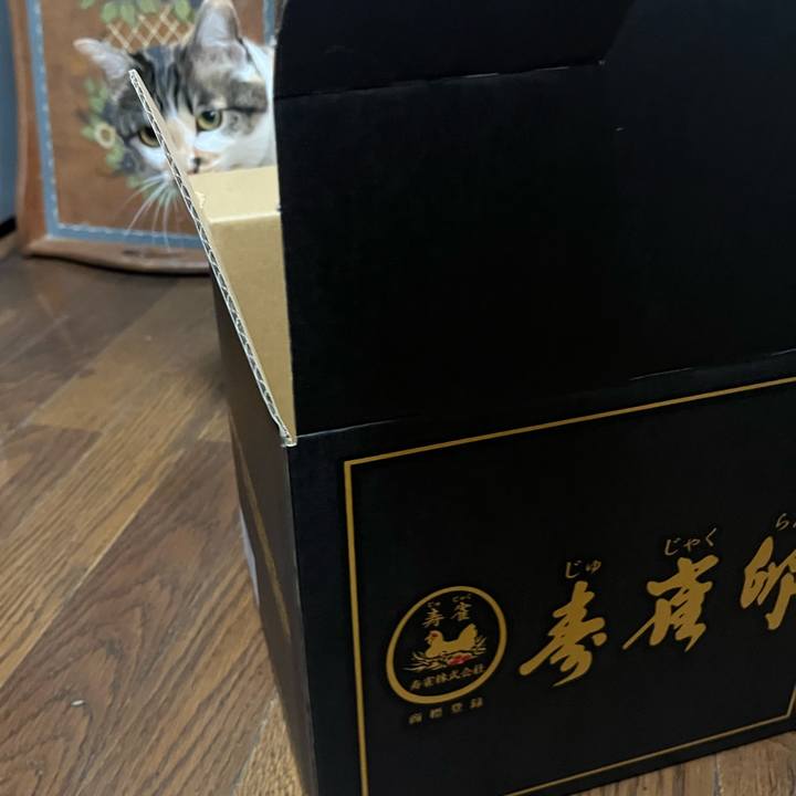 52fcc006 ac14 4cec 8648 3bdb64273759 1764568239949