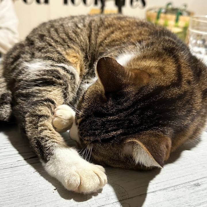 52fcdcb4 2f20 4779 9ea2 a5ca071a24a9 1713772337525