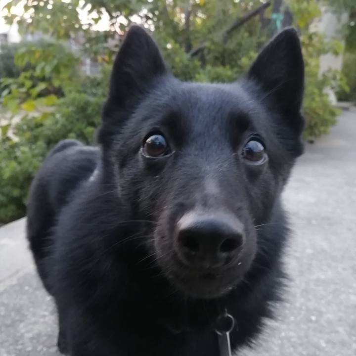 52fd2744 d962 473a 935d 8ea16b31e006 1634764109173