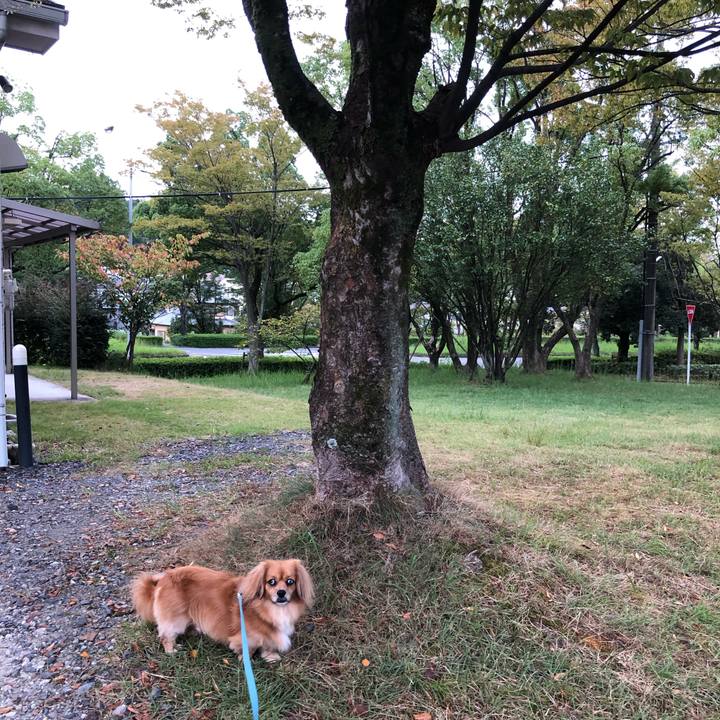 52fd2fa6 2c5c 4c03 afd5 f688c9699e3d 1569105520877