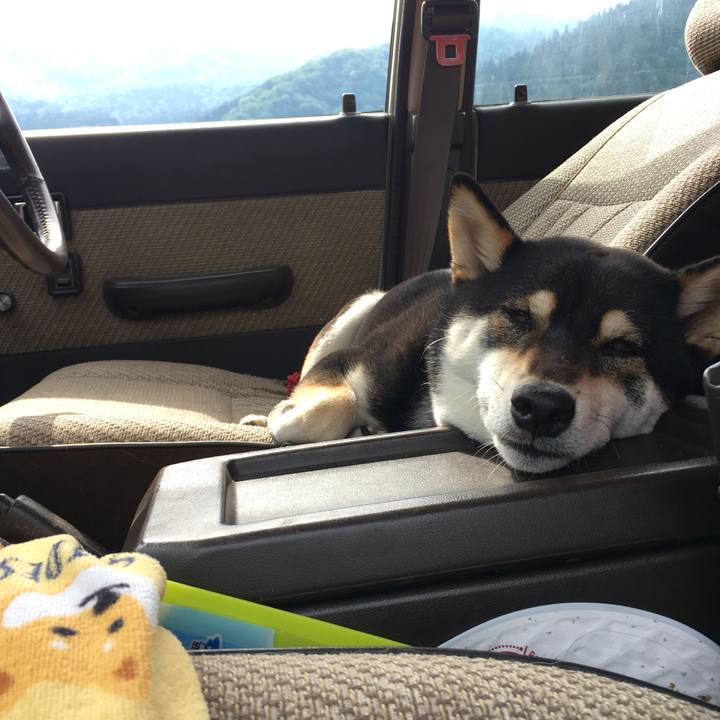 52fd5ab9 bd6b 42e1 accf 1c1734cf9e72 1559187483275