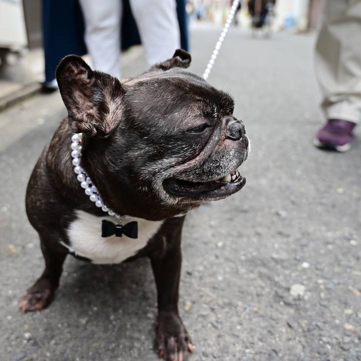 52fd8ef3 d159 4ed5 9622 1ba606c9b55a 1556559724843