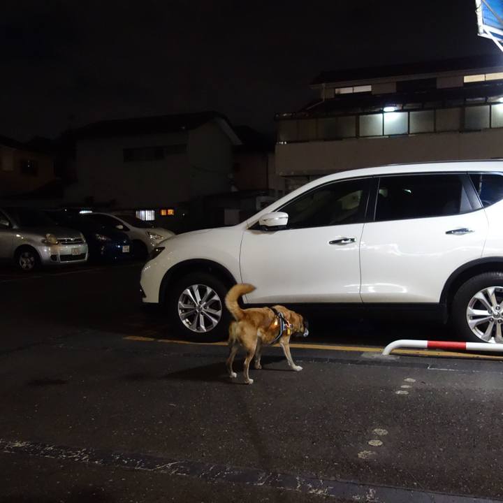 52fdae63 d4fd 46c0 843d 4371df64d26a 1653698834088