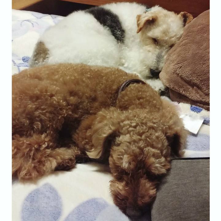 52fe3f8a 5670 40e5 9798 9fee11da8740 1525267763234