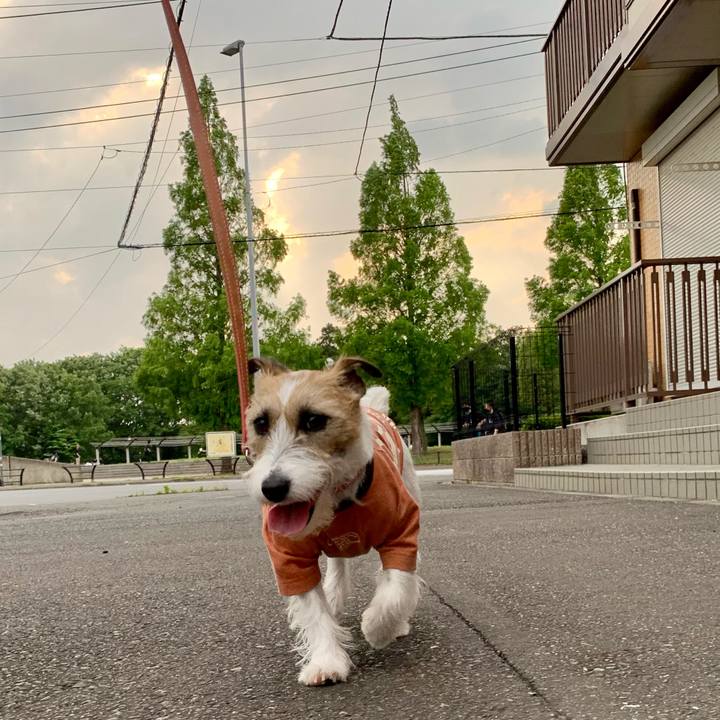 52fe5b62 879f 409e bd84 0fc497e64ef5 1620557816591