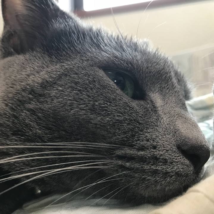 52fe5c17 0b1b 49b0 87d5 f578a547fc59 1529737388298