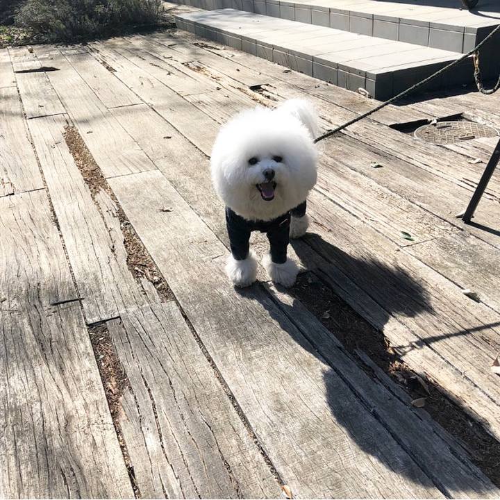 52fe70a4 54cb 4172 95d5 6d47f4b5338d 1518930433453