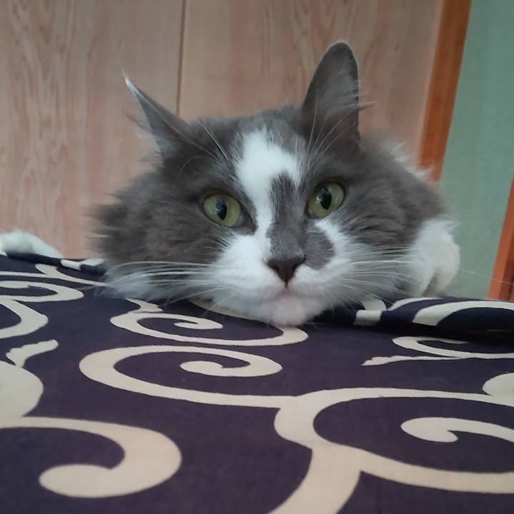 52fecc43 07fb 4396 ab5c 7f2e31207142 1657777480859