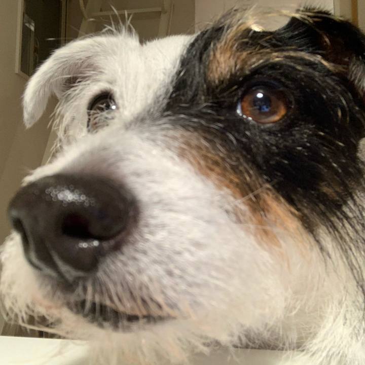 52fedbb1 0ba6 4153 8bce ae96b051a1e1 1623064324838