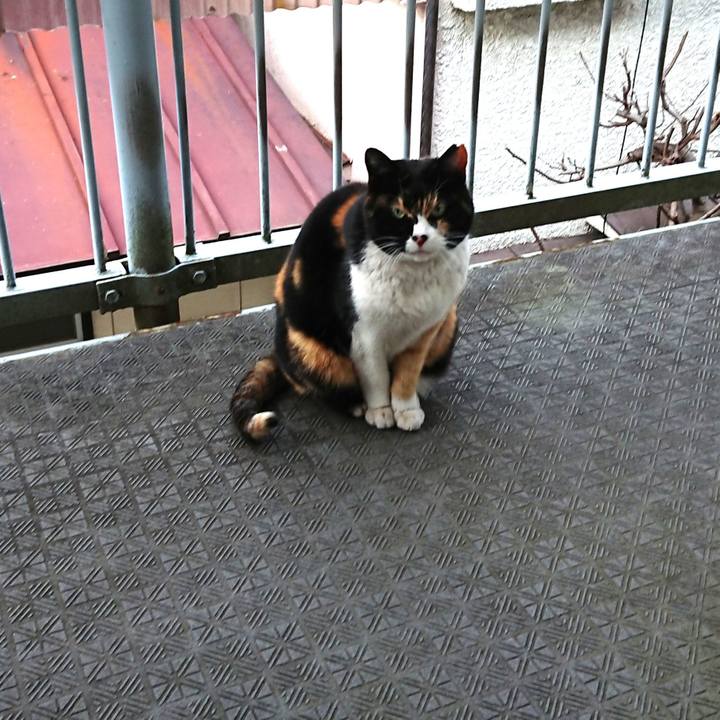 52fee53b cae7 4423 a851 eed54395c7fc 1646813673573