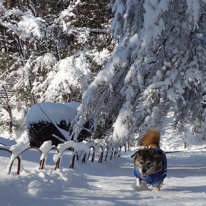 52ff1a4d d032 40b8 9664 7dda8b4d1b68 1689160299763