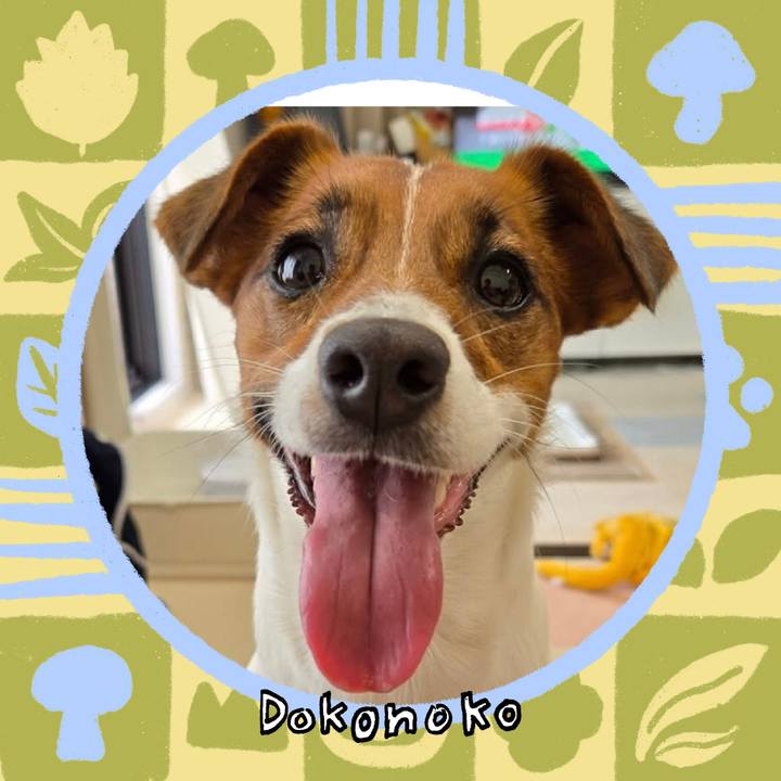 52ff32dd a946 4754 897d 362d4d311785 1761264950604