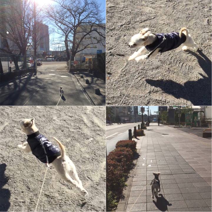 52ff3673 91f3 43ab a96f b6796b3a0e72 1546506879950