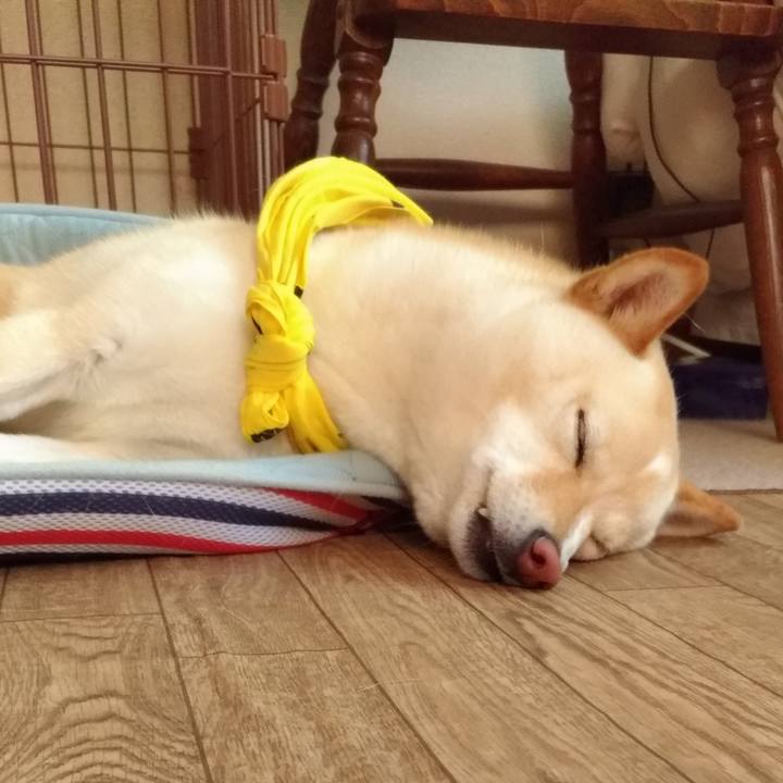 52ffa9d3 8bd6 4678 a600 614d2ad9b1f6 1560398735964