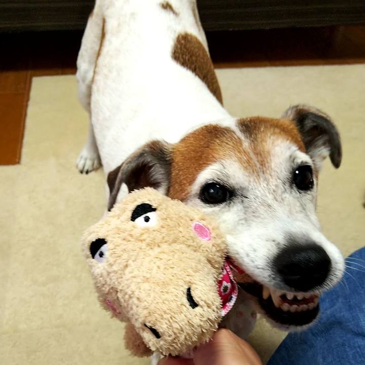 52ffbe69 b5bd 405c 8446 4c005f650417 1529834190965