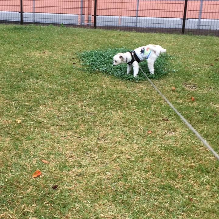 52ffc67a 5a1b 47c3 996a 176972e510a1 1507892925094