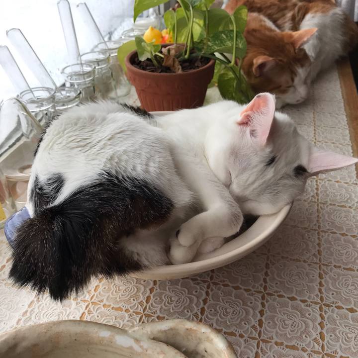 52ffce63 ad0a 4f07 a6ed 2afdc6838cda 1548297628343