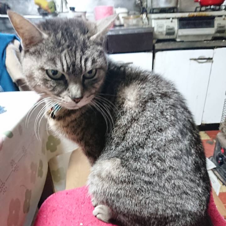 52ffdb20 6670 469c 925d 8ec9291ef54a 1554110344136