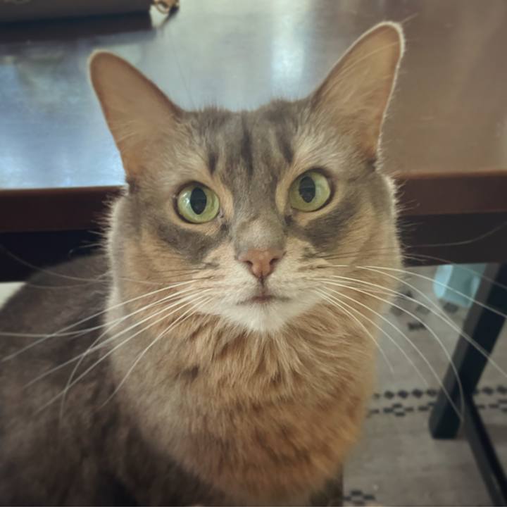 52ffe8af 9dfd 4edf bed7 17d2507a903d 1671346917753