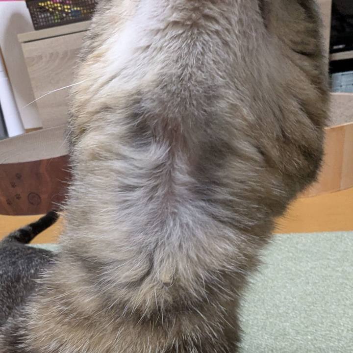 52fffcd3 5623 4753 909e f41b4af497e3 1756362537162