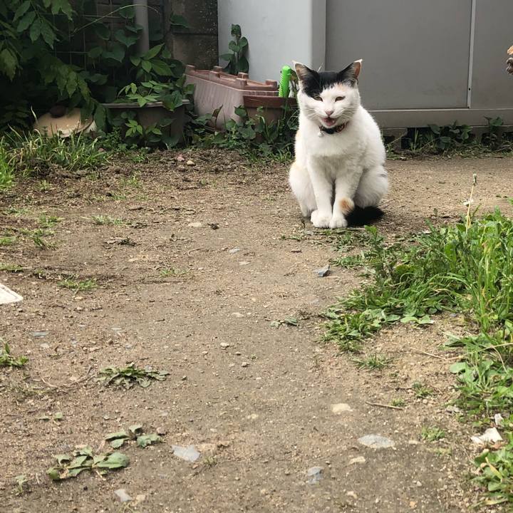 53000f86 6bbd 4440 b452 006e1d7952fb 1618705582942