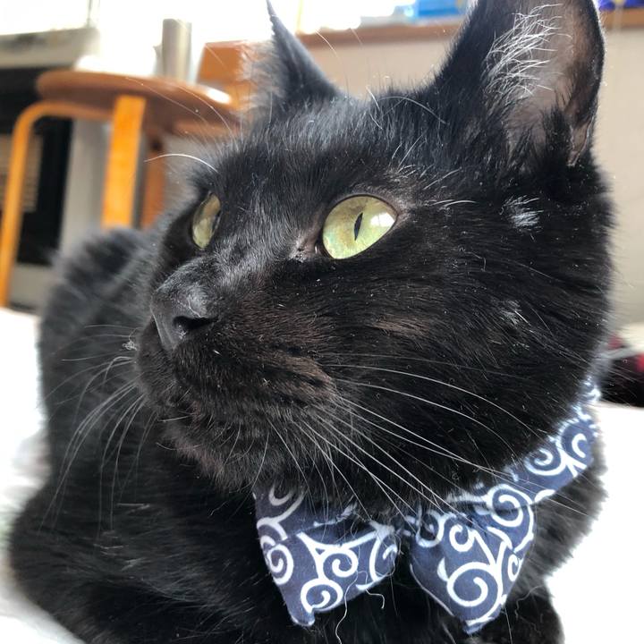 530019e3 49bd 4c4c 9e15 80e3899b1acb 1559947237632