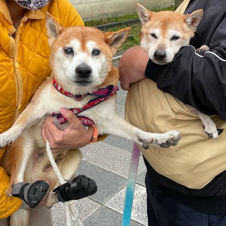 53001e38 d9a4 4c00 8c54 34ee6a8113f5 1618734893675