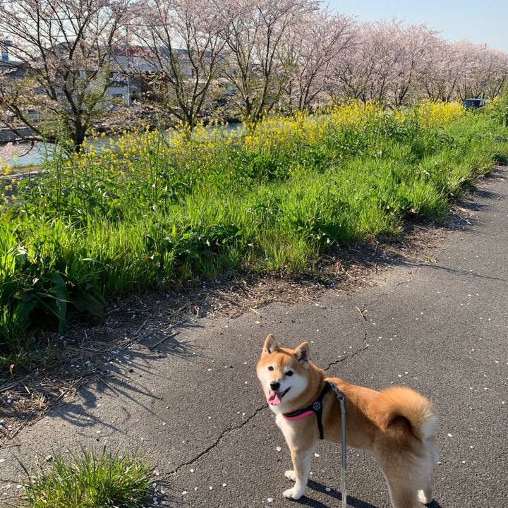 53002ea1 54da 44c7 bcc5 a90bdc9cdbba 1586261578424