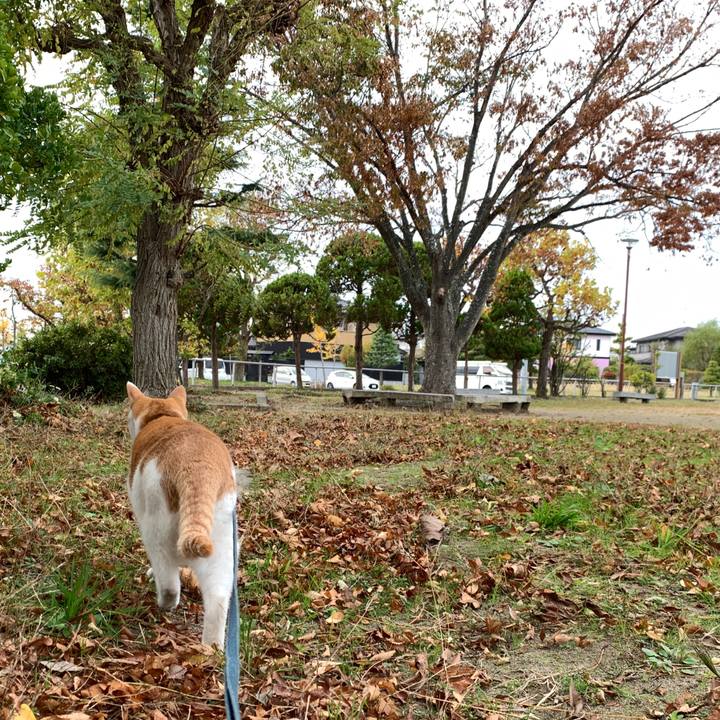 5300488c 2f08 434b a1b3 00a1a9d720da 1573107257274