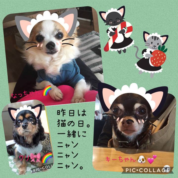 53008f63 b99d 43fa babc e67861a0f138 1550900955568