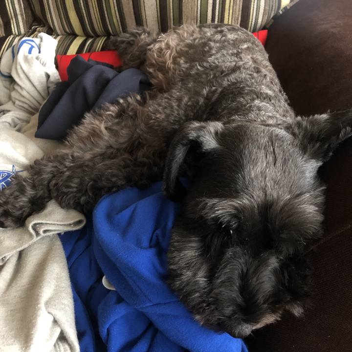 5300b0b7 9917 4065 9a6c 57a03d64e0dc 1569731087618