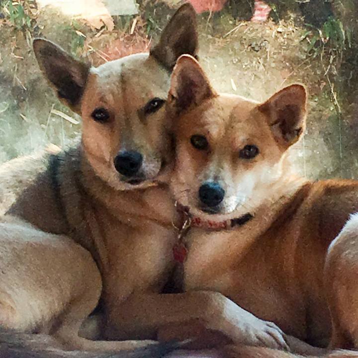 5300d087 43fd 4002 ade1 6ae875751a57 1514786048717