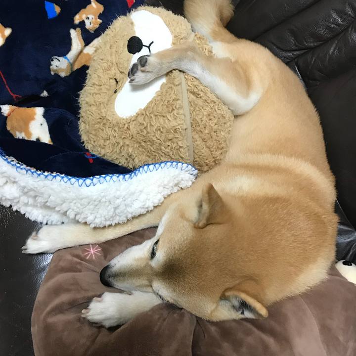 5300d555 11af 447d b0ba 729169f57a6a 1518168757096