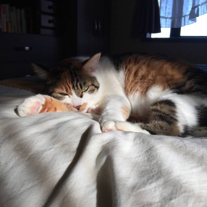 5300ec5b c55f 4559 b7fa 8092e0e77d44 1700627331208