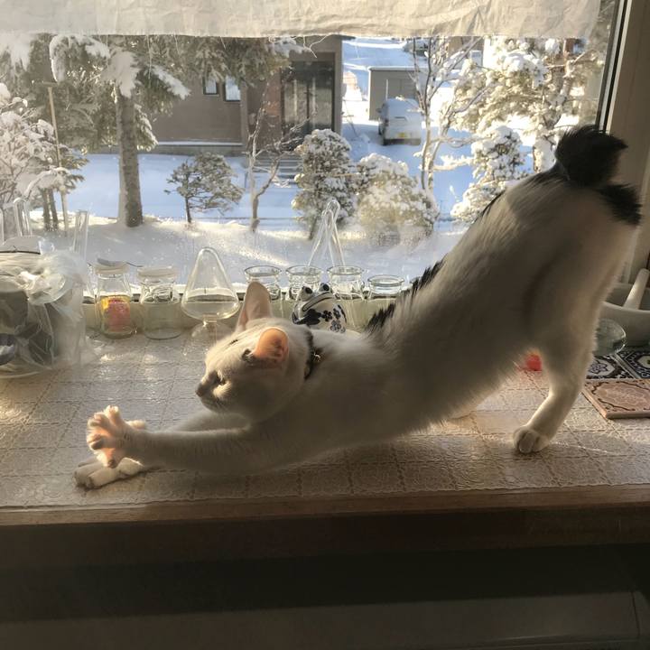 53010834 bc78 4d02 bddb 4fcedf48a3c0 1523826637330