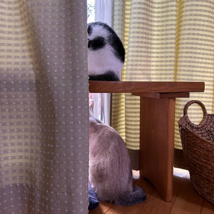 53011a0a ab48 47cd 841b e82983883a49 1762815993816