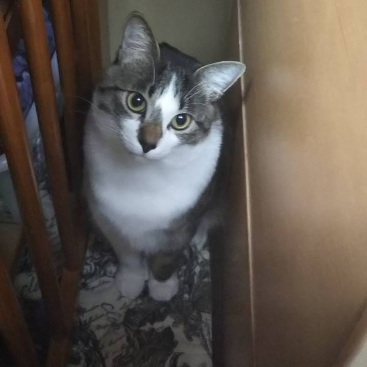 53013b06 4748 43ce 9fd9 e2a0868b4cf1 1629780437206