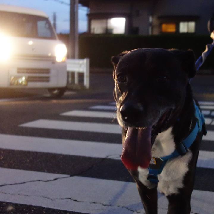 53013ed0 2072 4122 9e09 7ed44601b76f 1690111039791