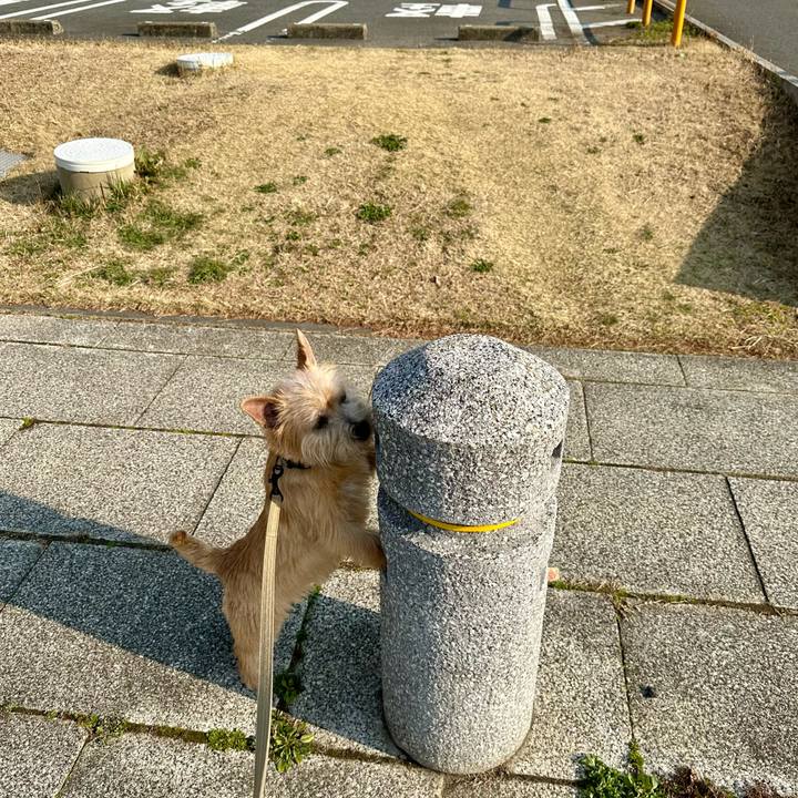 53014044 5557 4a76 befc 0526d378841f 1710566386971