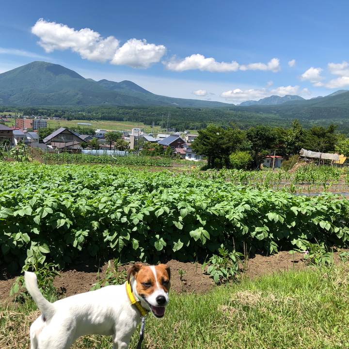 530186b3 1111 437e 9aa2 9c04a579a1af 1529406462534