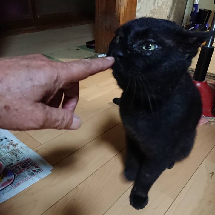 5301b9c3 a9a1 4185 800b 5e2c450e28a5 1662287565644