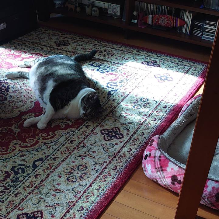 5301c0fe b457 4002 b06c 5fa9ceb67135 1649640900779