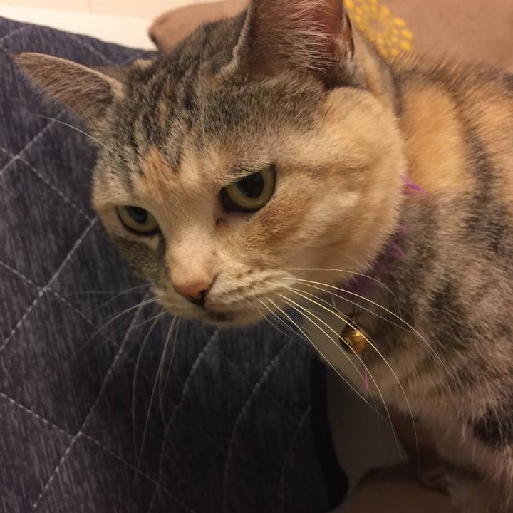 5301c8f0 636e 4401 a39a ffdc98900e4d 1555494240816