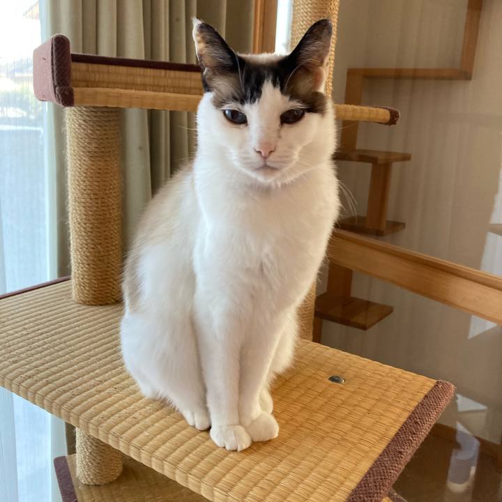 5301dc44 c94a 4318 a0a8 261fe2811ce1 1648940769141