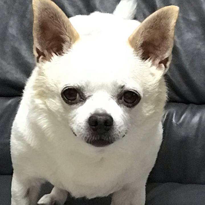 5301dd17 e62f 40de 9f68 447b86eebc8d 1567385865074