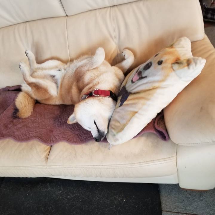 5301ef24 8cdc 470b 80a1 cf6f983cdd27 1740785069365