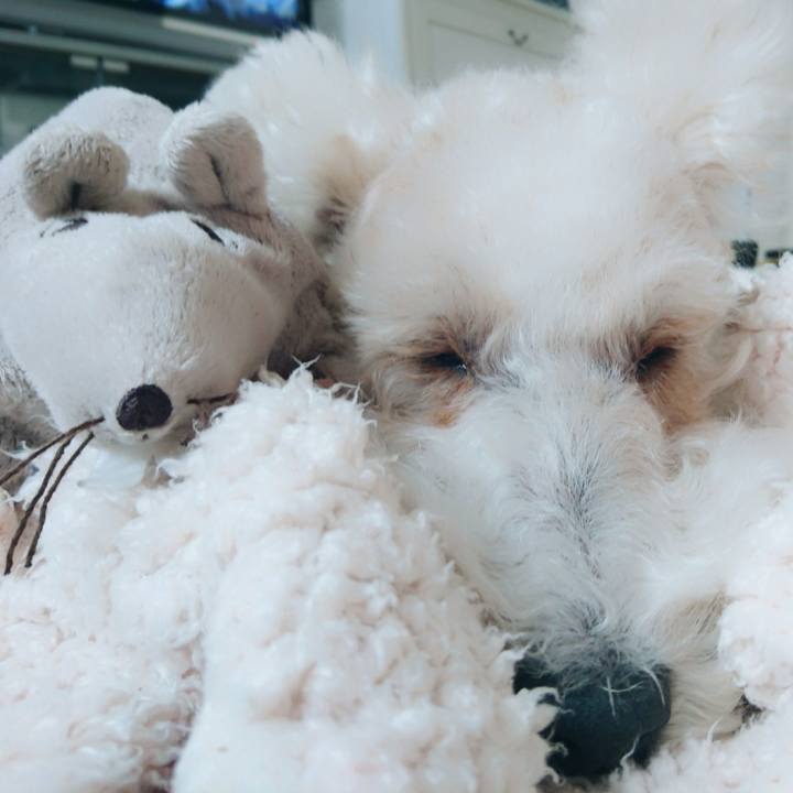 5301f000 2d9c 4a98 bf05 2945a40d0897 1513314359174