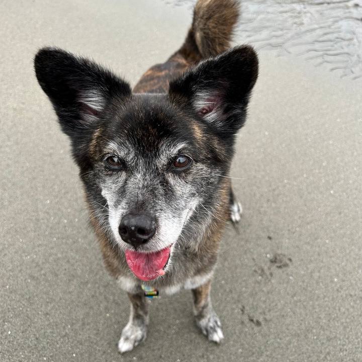 5301f3a8 000d 4f31 84c0 06c5872d87e5 1689033272099